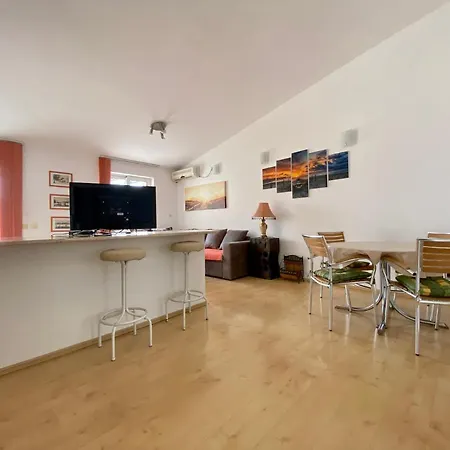 Apartment Palunko *