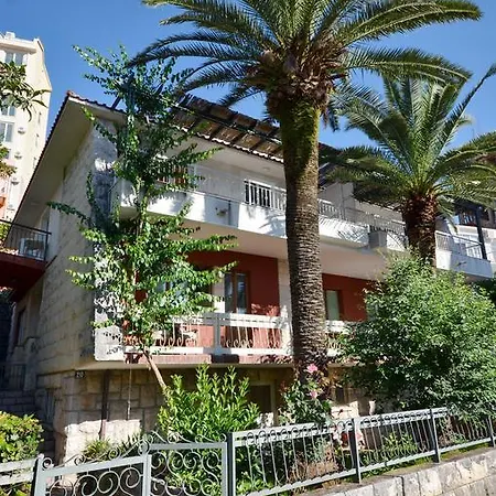Palunko Budva